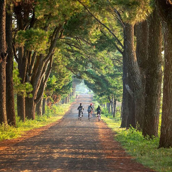 Tour Du lịch Biển Hồ Tây Nguyên dịp nghỉ lễ