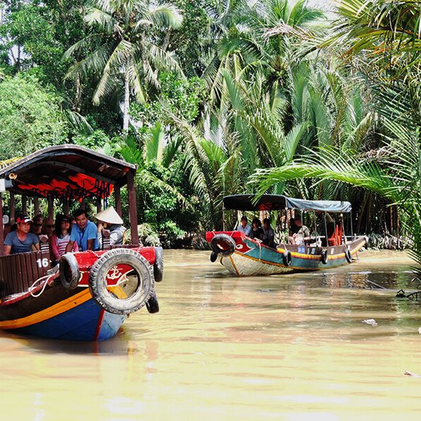 Tour Du lịch miền Nam - cù lao Phụng