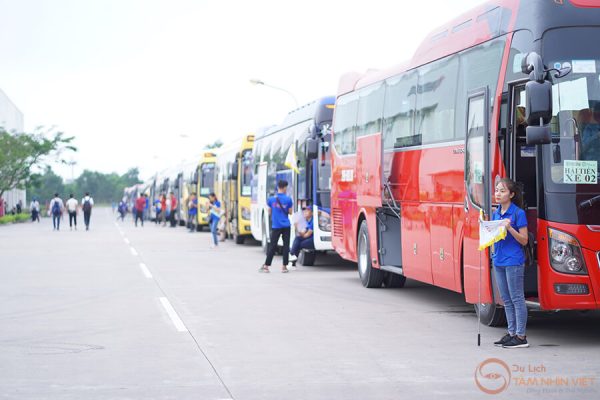Tour Du Lịch Cho Công Ty Hải Phòng - Hải Tiến - 2N1Đ (1)