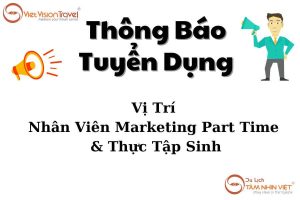 Nhân Viên Marketing Part Time-Thực Tập Sinh