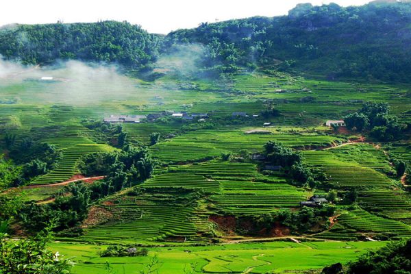 Tour Mộc Châu, Mai Châu 2 Ngày