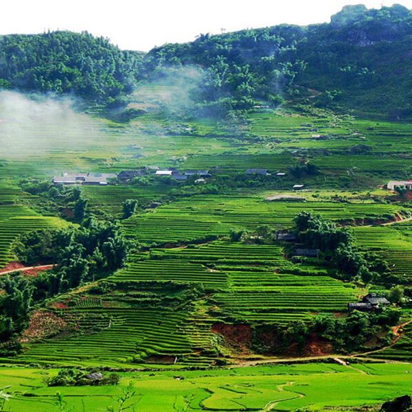 Tour Mộc Châu, Mai Châu 2 Ngày