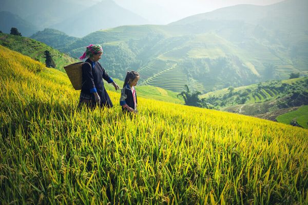 Tour Du Lịch Sa Pa Moana - Fansipan- Bản Cát Cát - 3N2Đ