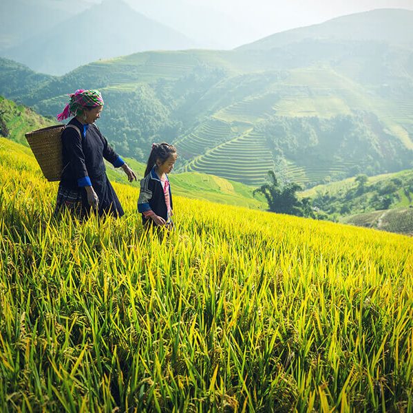 Tour Du Lịch Sa Pa Moana - Fansipan- Bản Cát Cát - 3N2Đ