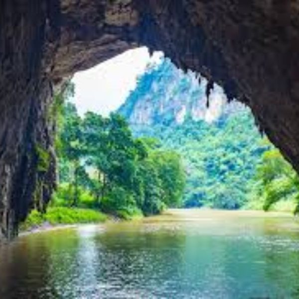 động puông
