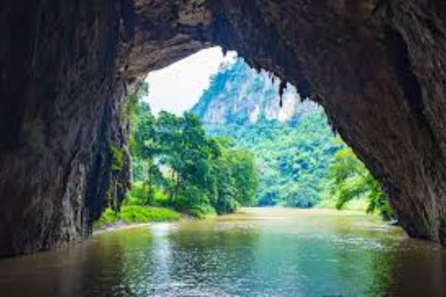 động puông