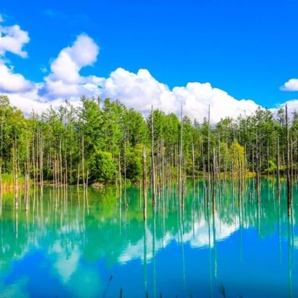 du lịch Nhật Bản Hokkaido