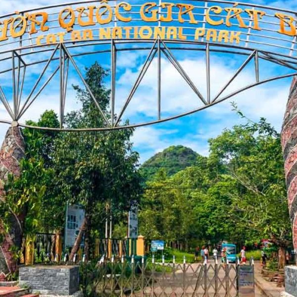 du lịch cát bà