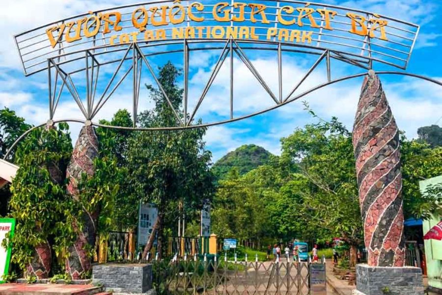 du lịch cát bà