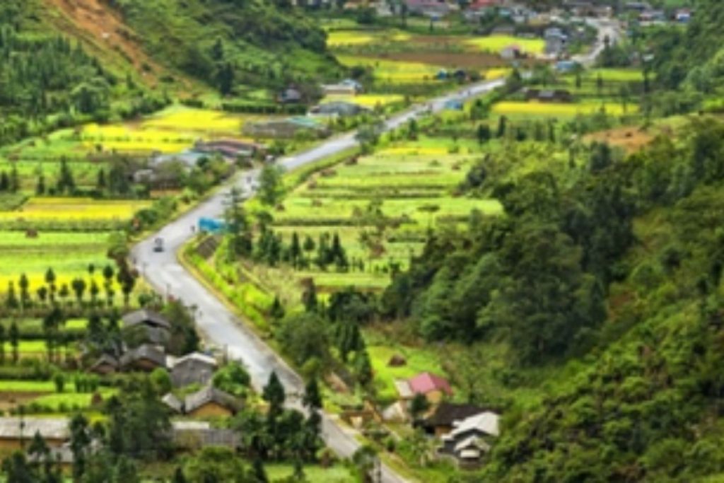 Công Ty Du Lịch Tầm Nhìn Việt