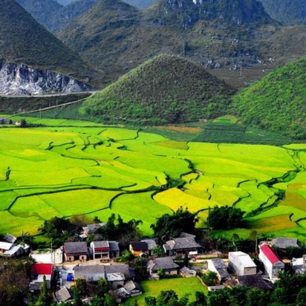 quản bạ