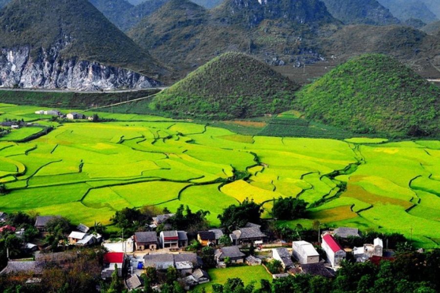 quản bạ