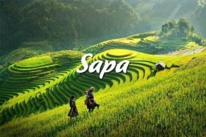 sapa