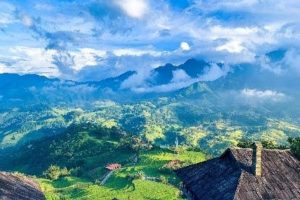 sapa