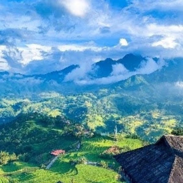 sapa (15)