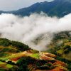 sapa