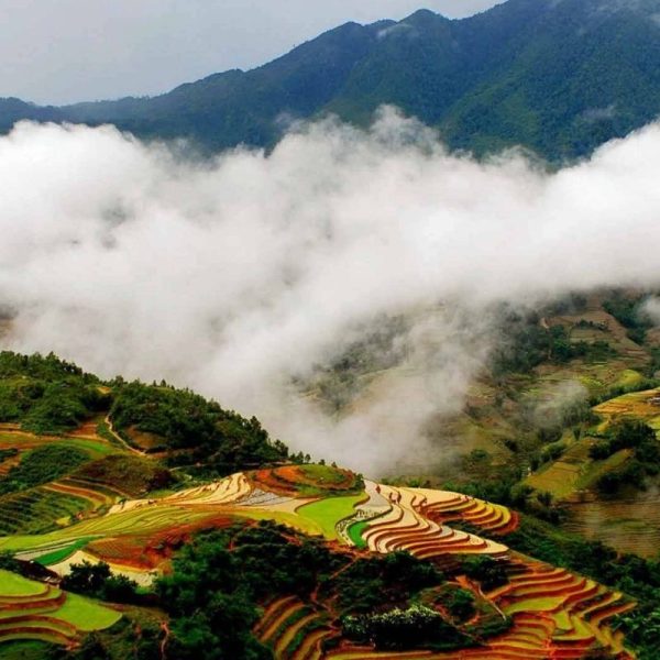 sapa