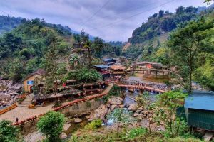 sapa