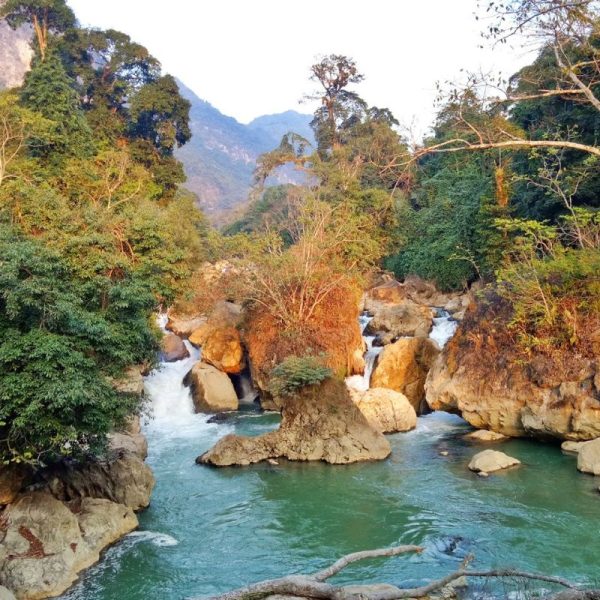 thác đầu đẳng