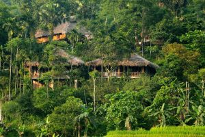 du lịch Pù Luông