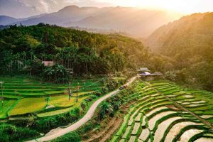 du lịch Pù Luông - Ninh Bình