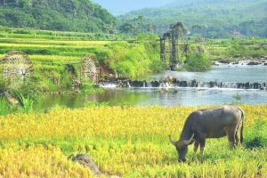 du lịch Pù Luông - Ninh Bình