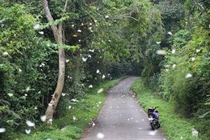 du lịch cúc phương vân long 1 ngày