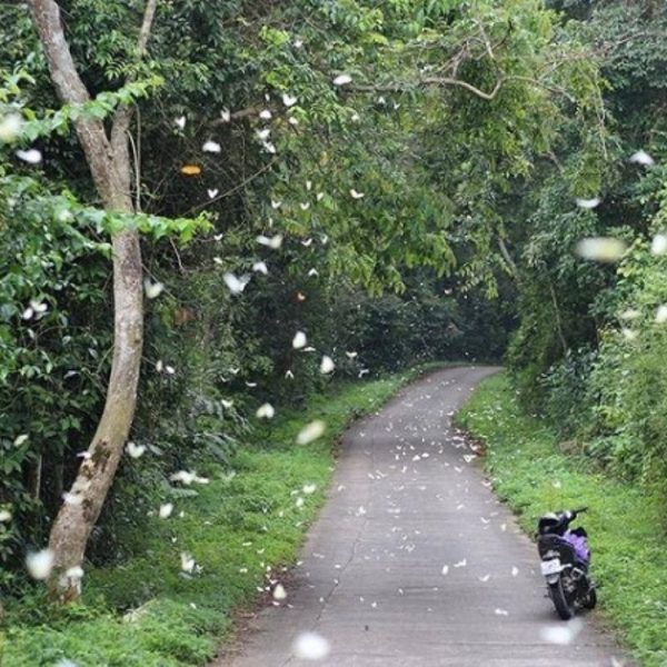 du lịch cúc phương vân long 1 ngày