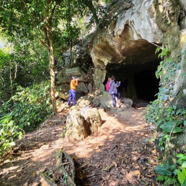 tour cúc phương vân long 1 ngày