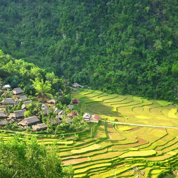 du lịch mai châu - pù luông - ninh bình