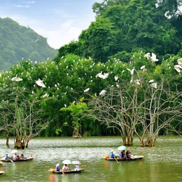 du lịch mai châu-pù luông-ninh bình