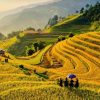 du lịch mù cang chải