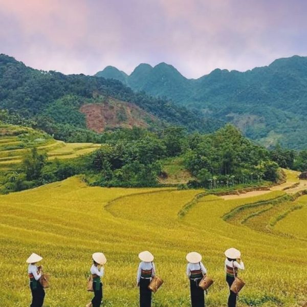 du lịch pù luông 2 ngày
