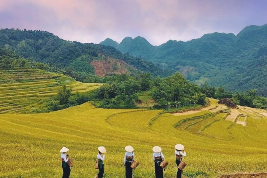 du lịch pù luông 2 ngày