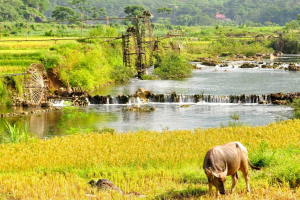 du lịch pù luông