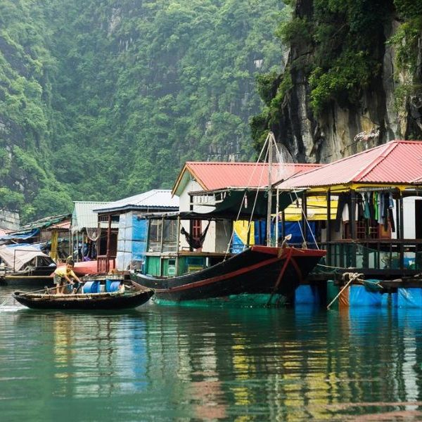 Bái Tử Long