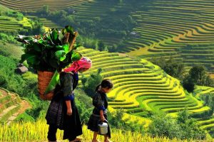 Bản Tà Phìn