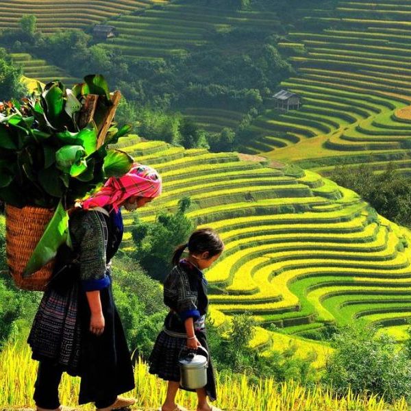 Bản Tà Phìn
