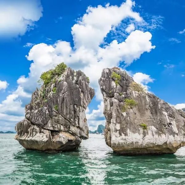Biểu tượng hòn Gà Chọi - Vịnh Hạ Long