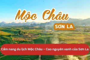 Cẩm nang du lịch Mộc Châu 2025