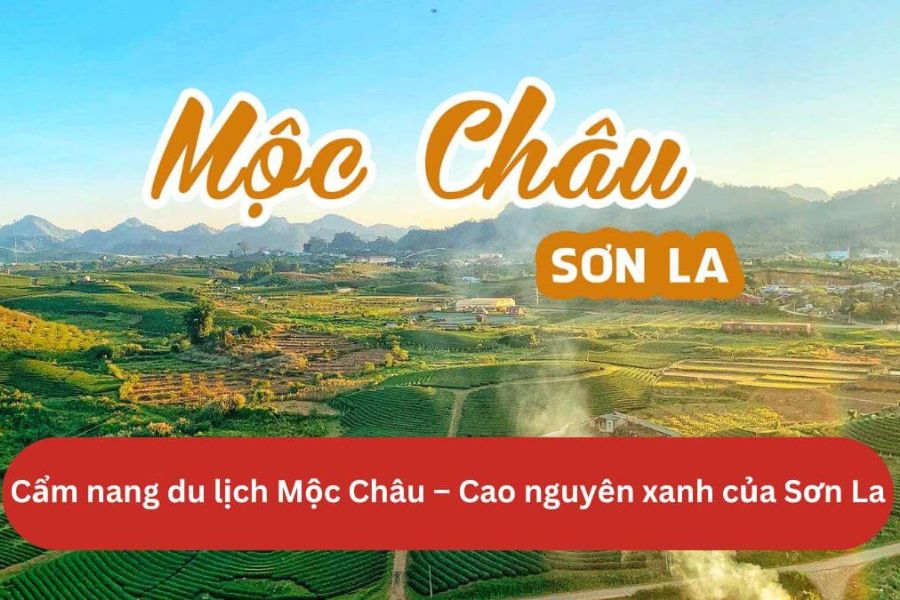 Cẩm nang du lịch Mộc Châu 2025