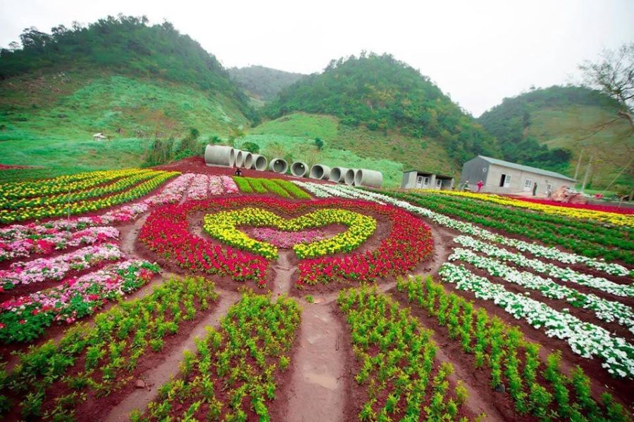 Vườn hoa Happy Land