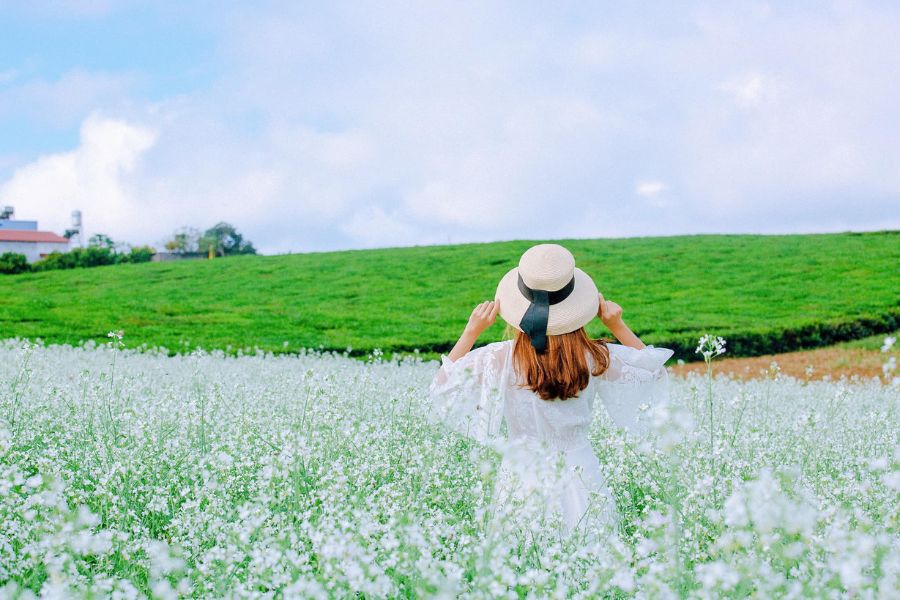 Top 15 địa điểm check in Mộc Châu