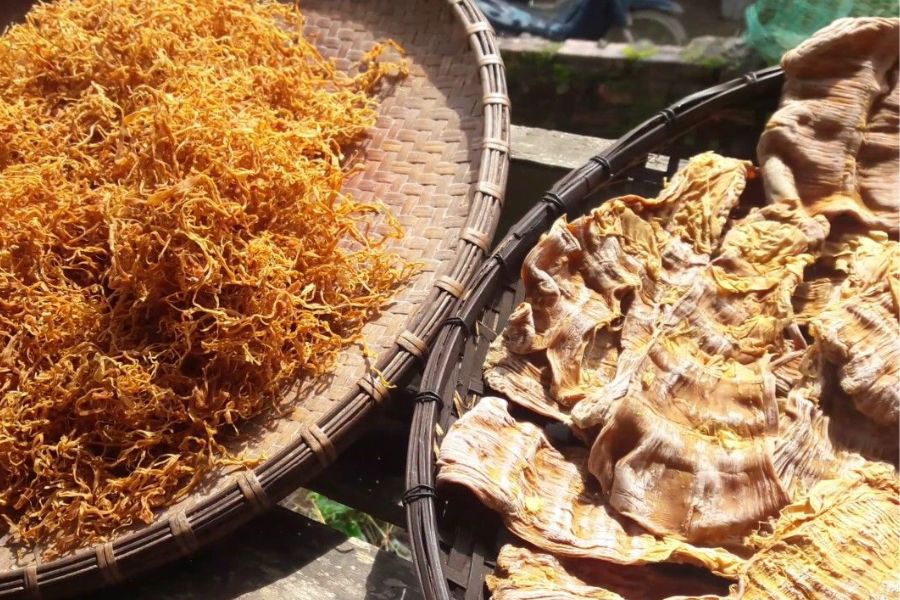 Măng Rừng Điện Biên