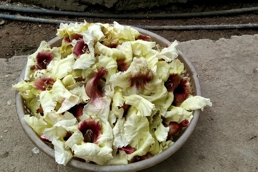 Hoa kè hấp thịt