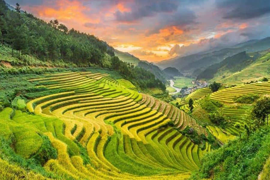 Ruộng Bậc Thang Mường Than