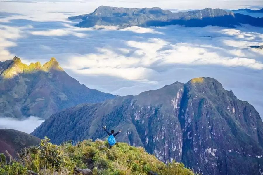 Đỉnh Bạch Mộc Lương Tử