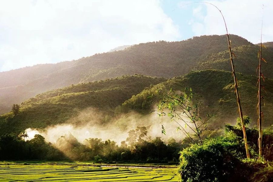 Khám Phá Vẻ Đẹp Qua Từng Mùa, Từ Thời Tiết Đến Lễ Hội