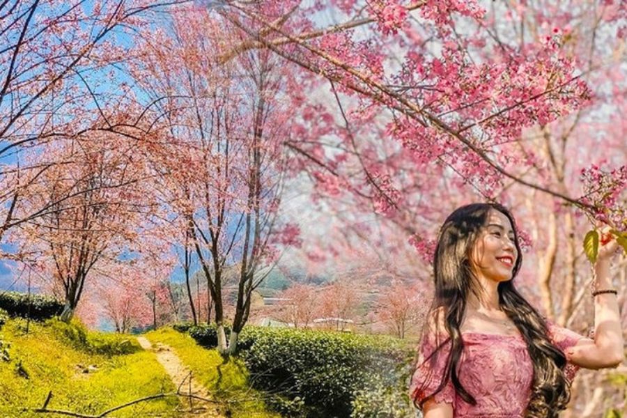 Du Lịch Lai Châu Mùa Xuân