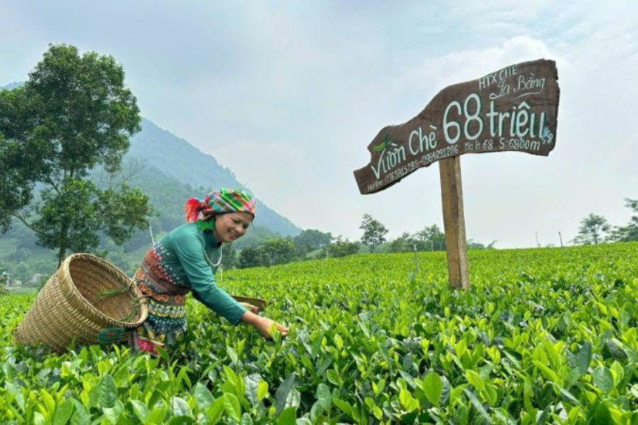 du lịch Thái Nguyên